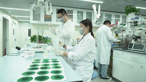 新洋豐 高舉創(chuàng)新大旗，引領(lǐng)農(nóng)業(yè)科學(xué)研究和試驗(yàn)發(fā)展