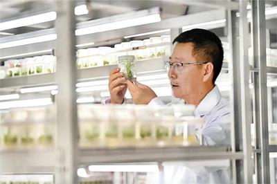 灃西新城加快“科學(xué)家+工程師”隊(duì)伍建設(shè)，為農(nóng)業(yè)科學(xué)研究和試驗(yàn)發(fā)展注入新活力