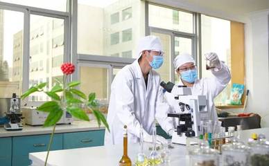 龍潤藥業榮獲2018年度云南省科學技術進步獎三等獎，彰顯農業科研創新實力