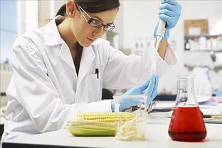 化學工程與工藝與農業科學研究的融合與發展