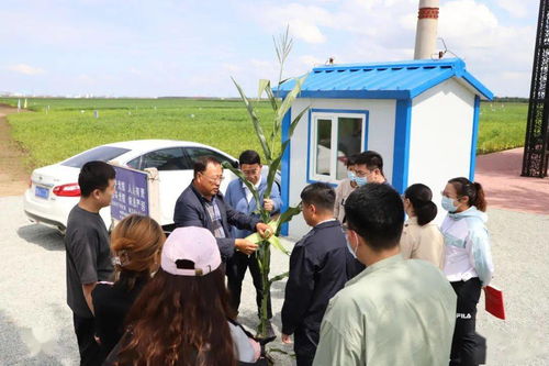 走進(jìn)中國農(nóng)業(yè)科學(xué)院北方大豆研究中心試驗示范基地 青年大學(xué)習(xí)中的農(nóng)業(yè)科技力量