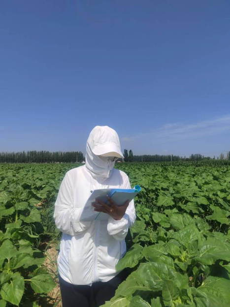 鄂爾多斯市人民政府推動農業科學研究和試驗發展的戰略與實踐