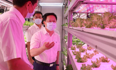 鄭柵潔調研省農科院 強化市場與效率意識，驅動農業科技創新新篇章