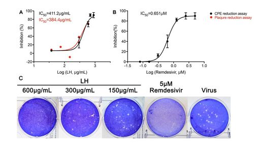連花清瘟抗新冠肺炎病毒機(jī)制初探 鐘南山團(tuán)隊(duì)最新研究進(jìn)展