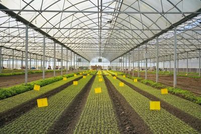 區(qū)領(lǐng)導(dǎo)深入調(diào)研農(nóng)業(yè)科創(chuàng)谷推進(jìn)工作，強(qiáng)調(diào)以科技創(chuàng)新驅(qū)動(dòng)農(nóng)業(yè)現(xiàn)代化發(fā)展